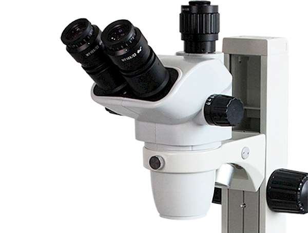 Head of TW650A