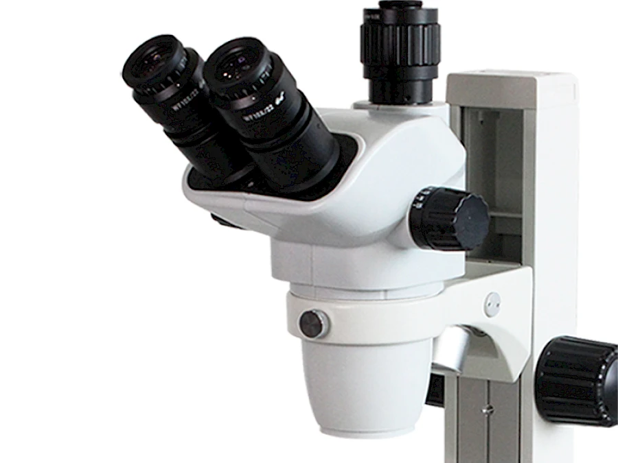 Head of TW650A