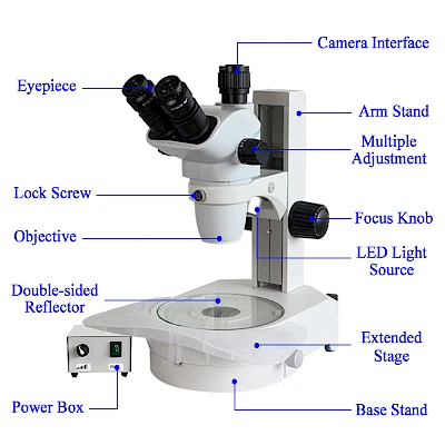 Structure of TW650A