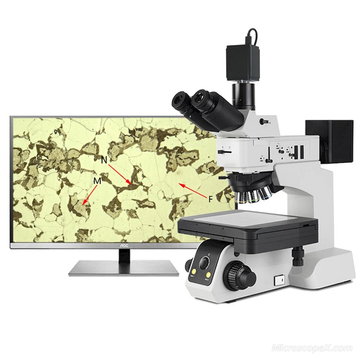 CM40BD-AF Electric Metallurgical Microscope
