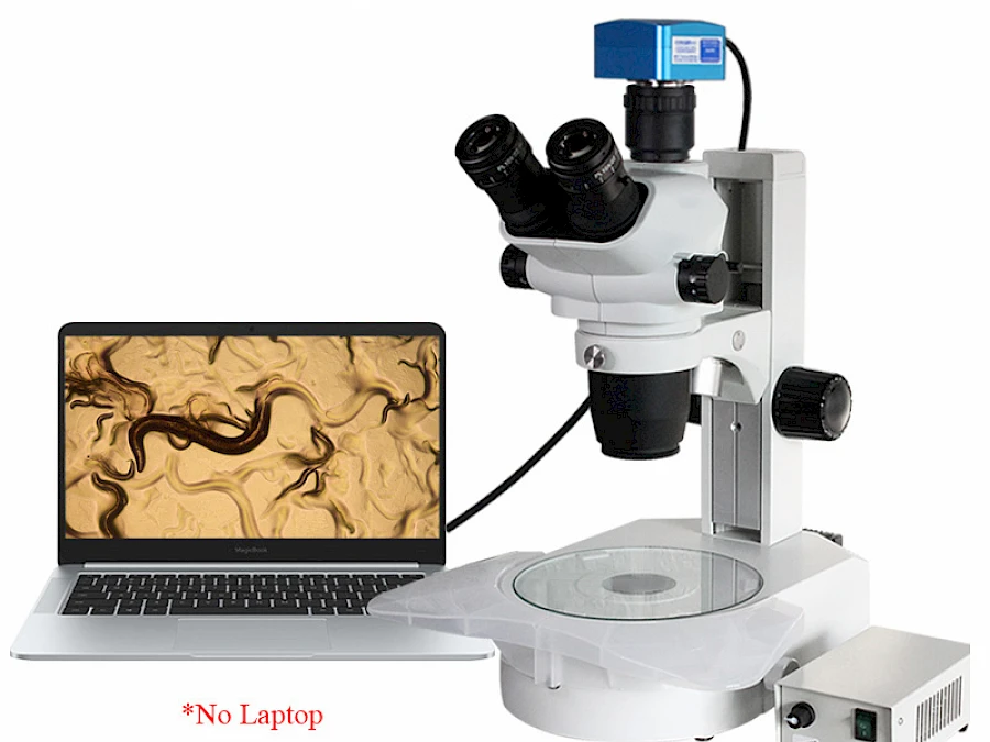 TW870A with its connected USB Microscope Camera