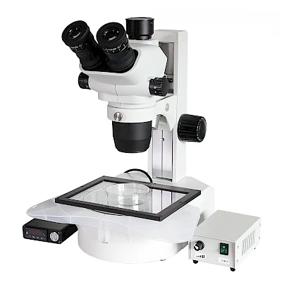 TW870AH Stereo Microscope
