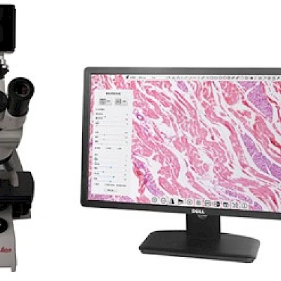 XCAMLITE4K with its connected Microscope