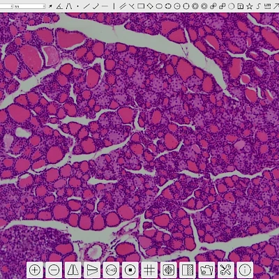 Software of XCAMTOP4K