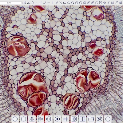 Software of XCAMTOP4K