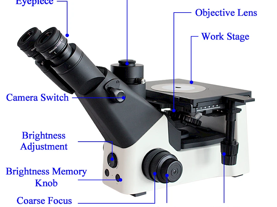 Structure of VM2400I