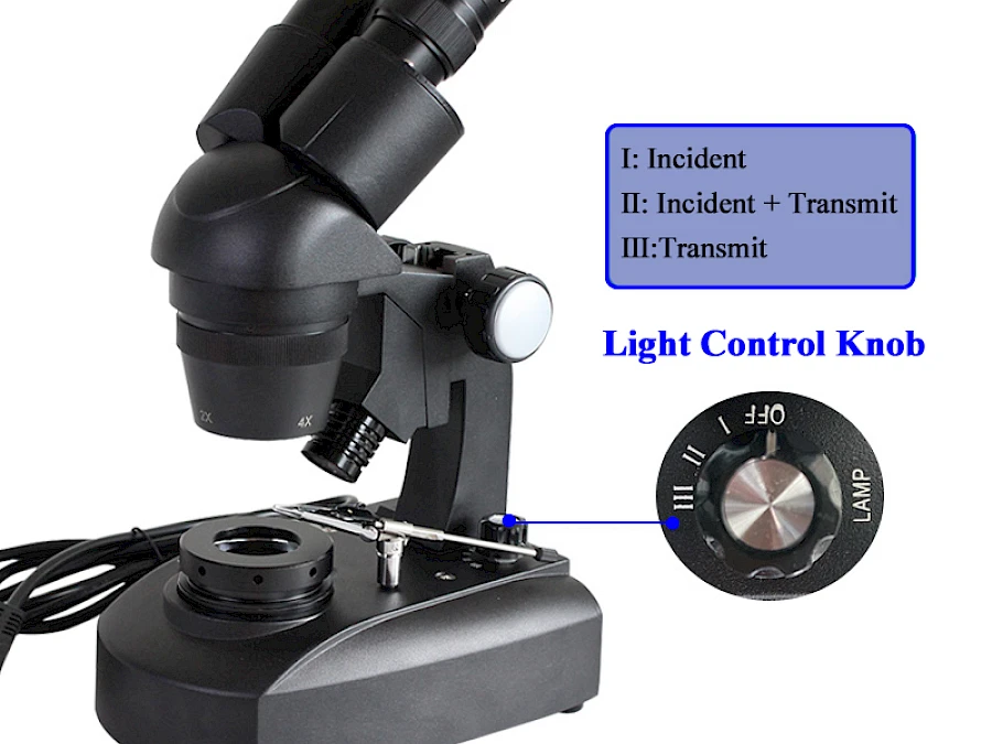 Light Modes of VGM240