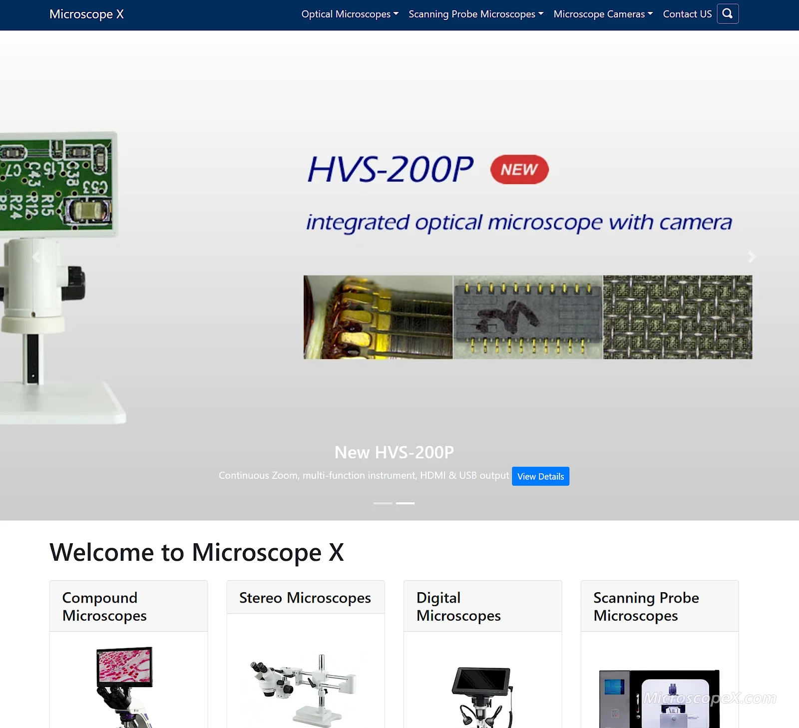Old version of the website