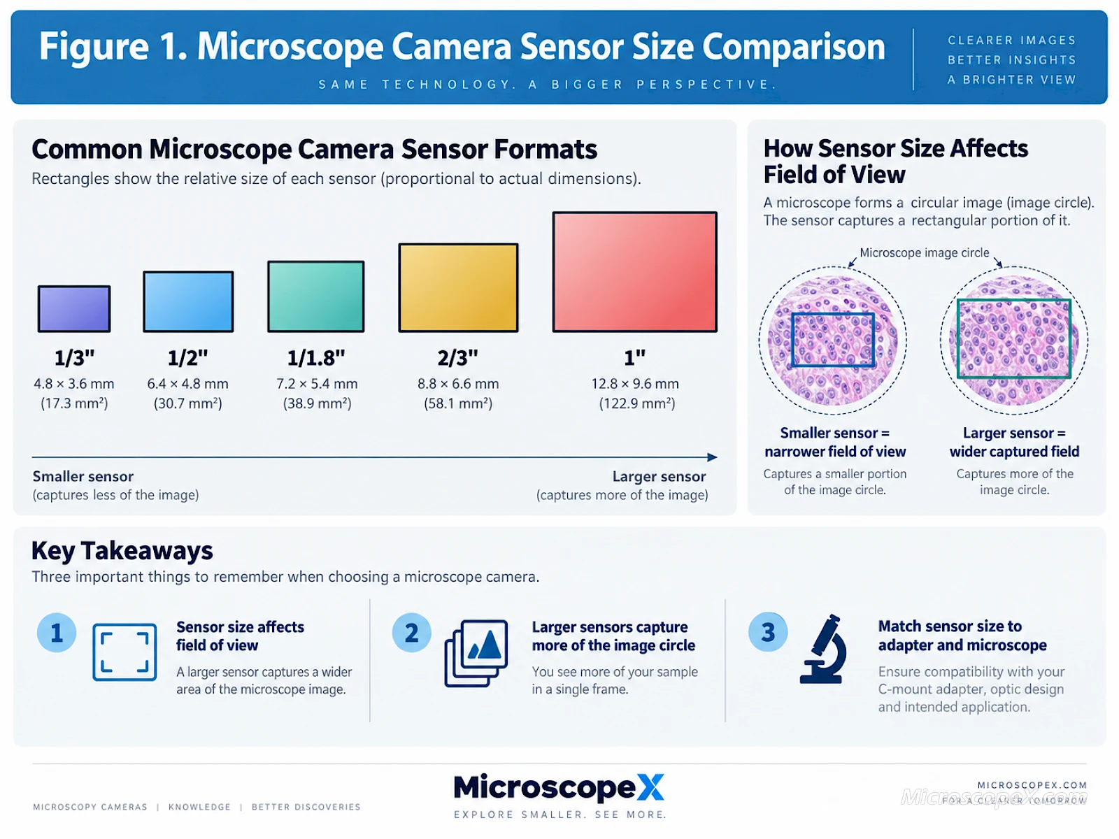 How to Choose a Microscope Camera: Sensor Size, Resolution, FPS and Interface Explained