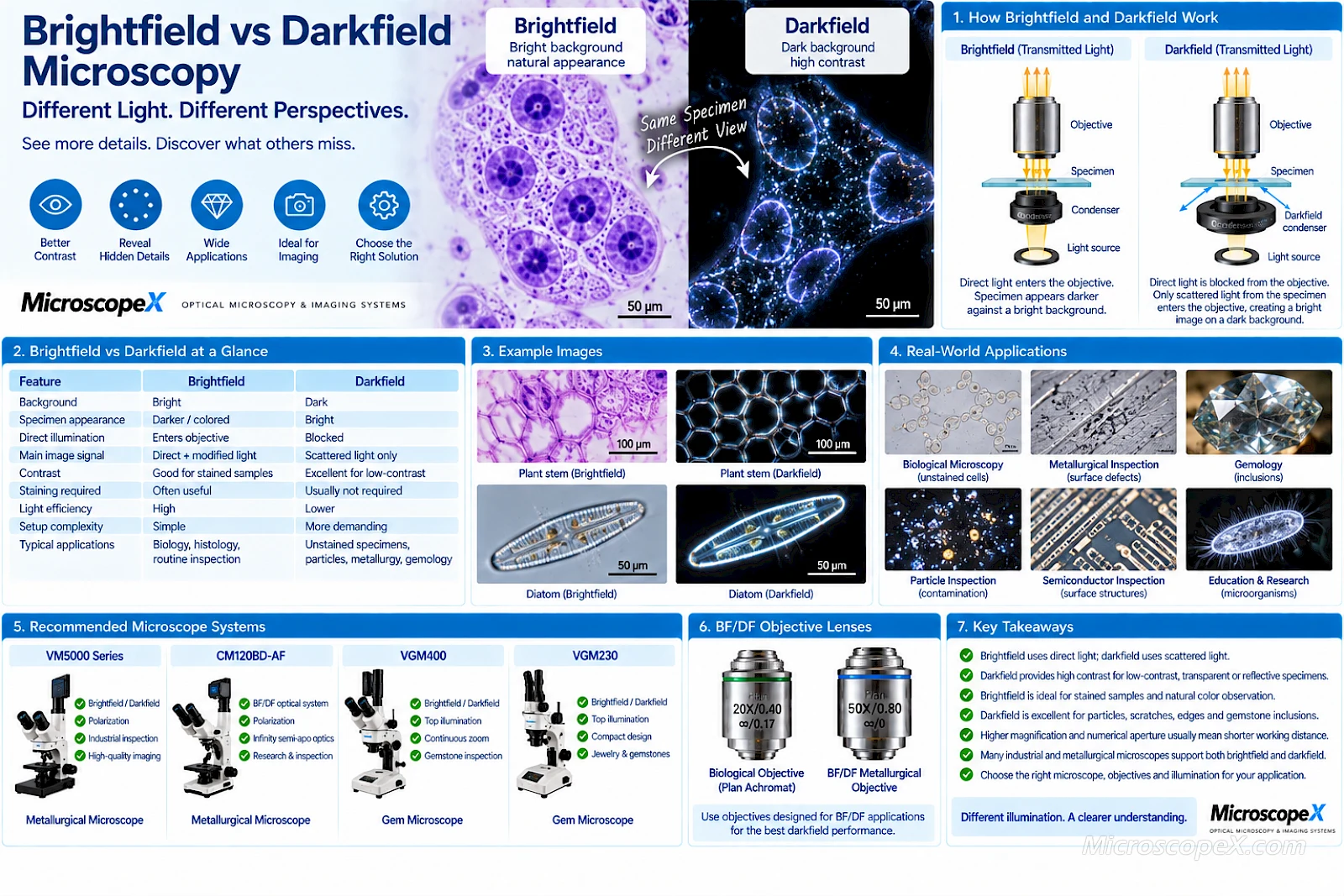 Brightfield vs Darkfield Microscopy: Differences, Applications and How to Choose