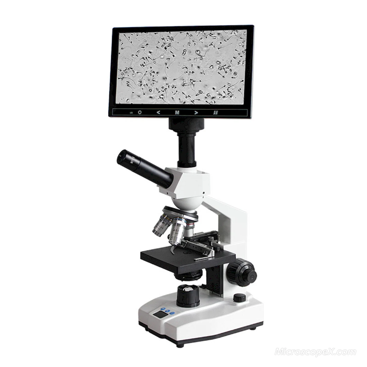 Thermostatic Digital Biological Microscope BL-15AD