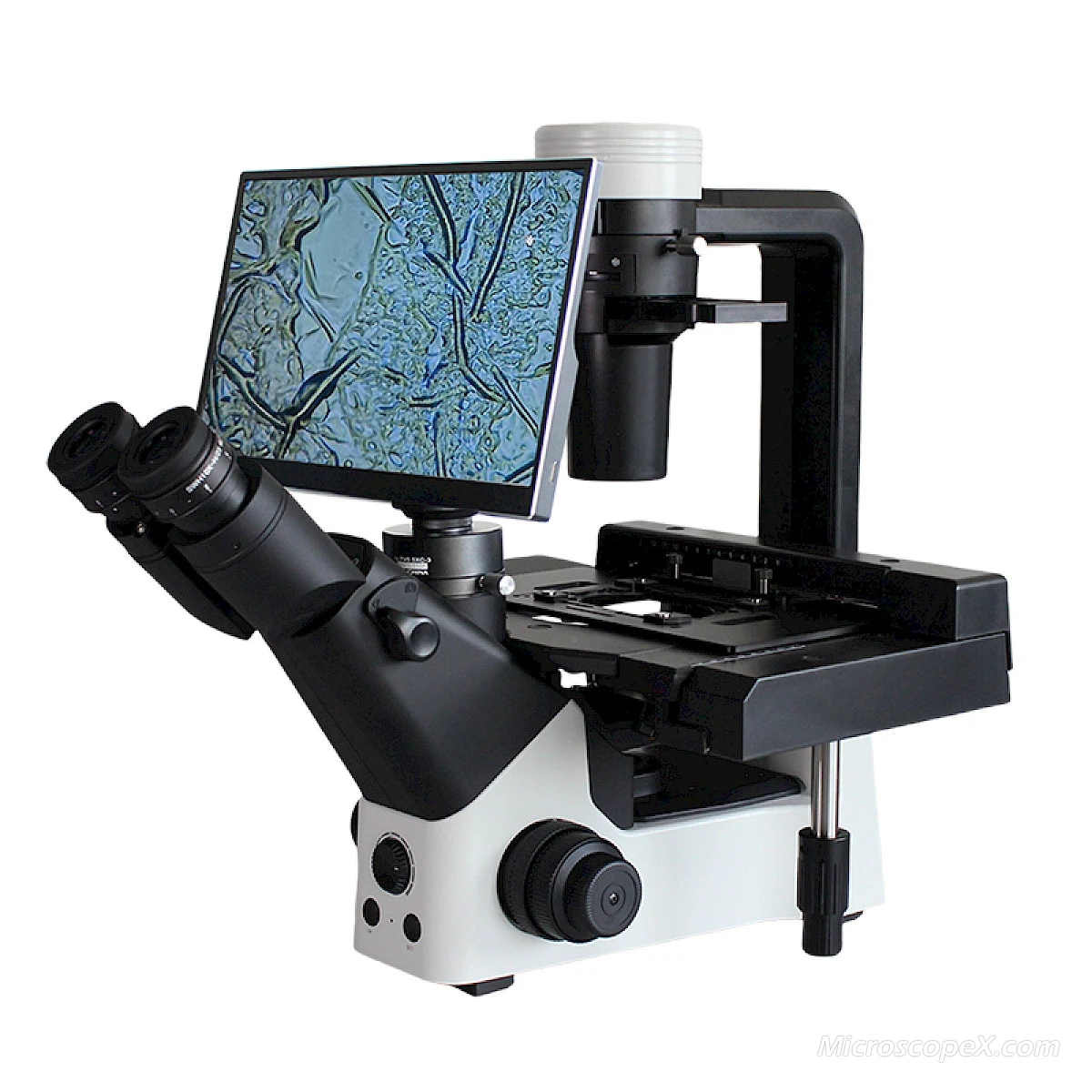 BLD-330DM Inverted Phase Contrast Microscope