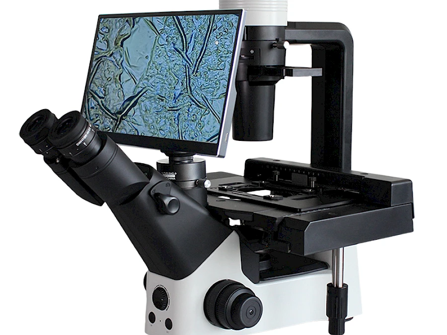 BLD-330DM Inverted Phase Contrast Microscope