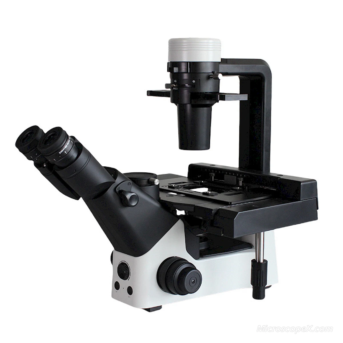 BLD-330PH Inverted Phase Contrast Microscope
