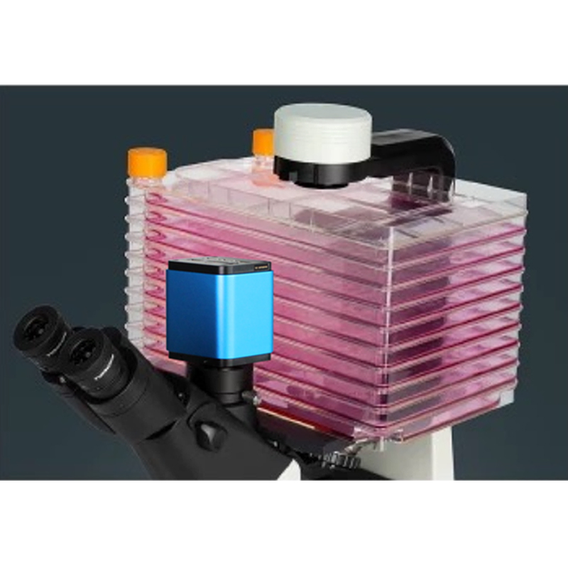 Cell Factory Application Cell Factory Application
